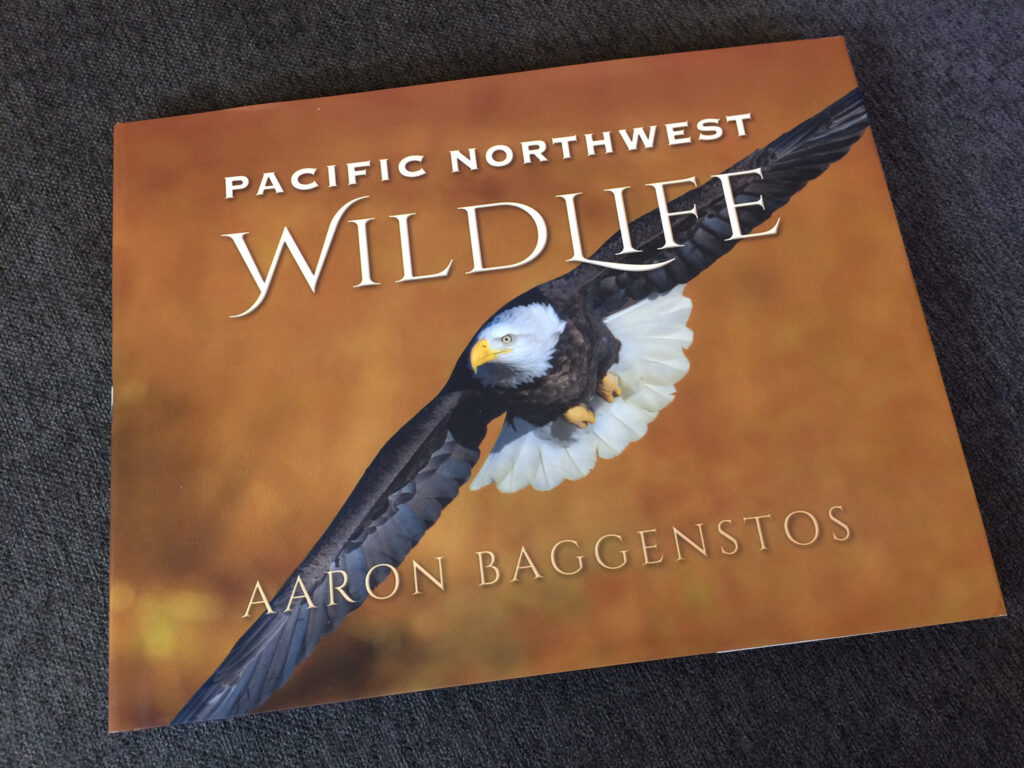 Book Jacket design for wildlife photography book