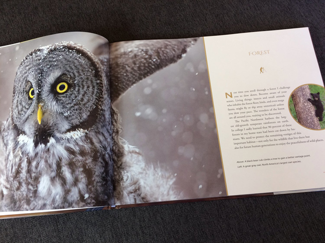 Page spread design in Pacific Northwest Wildlife